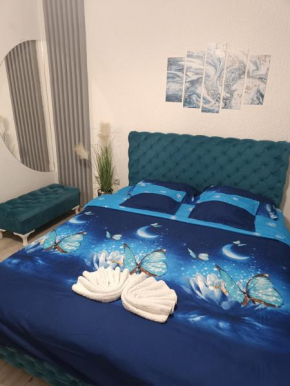 Apartman u centru 1